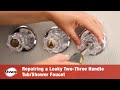 Repairing a Leaky Two-Three Handle Tub-Shower Faucet