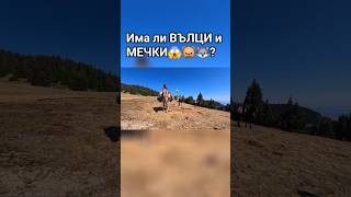 Има ли вълци и мечки на мястото ни за спане? #hiking #adventure #outdoors #camping