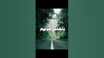 تلاوة تريح القلب بصوت الشيخ | محمود البنا  🙂‍↕️💙