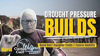 Cattle Call: Drought begins to shape feeder cattle movement across Plains