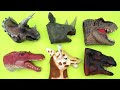 6 Dinosaur Heads - Dinosaur Hide And Seek. Jurassick World Dinos