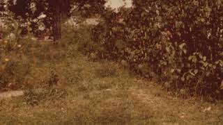 James Wyatt Crosby - Deep In Yr Mind (Instrumental)