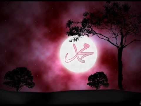 Muris Brackan- Ti me rani