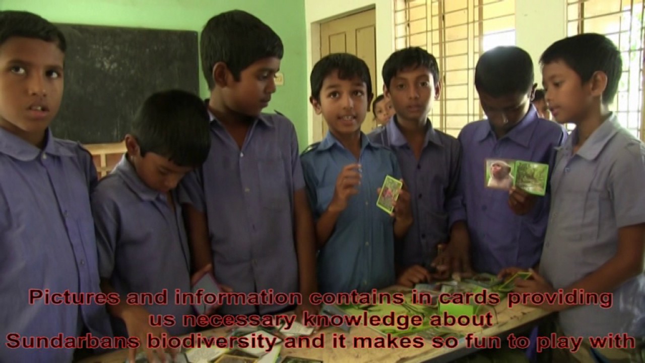 Sundarban Mangrove Biodiversity Education Program in Bangladesh