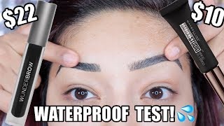 WATERPROOF Wunderbrow Eyebrow Gel VS Maybelline Tattoo Eyebrow Gel Test!