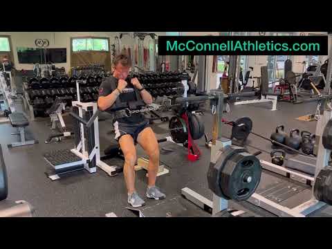 Pendulum Sissy Squat/Multi-Angle
