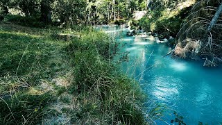 Stop staring at the screen and go outside! (Music for relaxation) screenshot 5