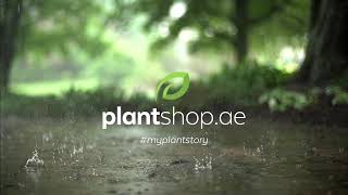 Plantshop.me - Indoor & Outdoor Plants, Gardening Accessories - Quick Delivery