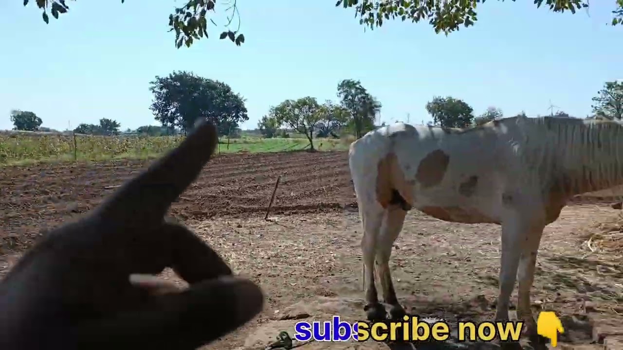 good news 😊or bad news 😢 | 