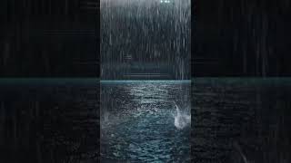 Heavy Rain and Thunder Sounds for sleep, study or relaxation   Rain sounds on a window