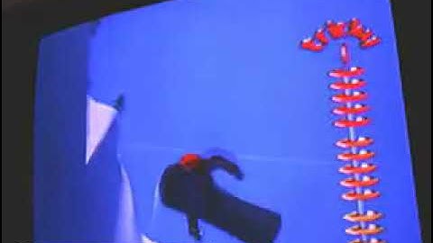 SSX Tricky untracked video 670,750pts.