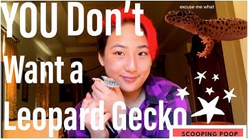 WATCH THIS BEFORE YOU GET A LEOPARD GECKO!