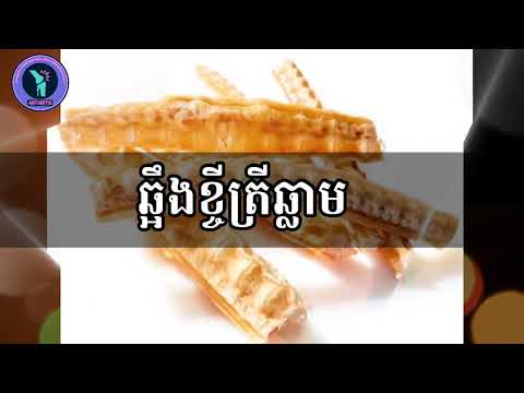 អត្ថប្រយោជន៍​ ឆ្អឹង​ខ្ចី​ត្រីឆ្លាម