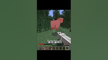 Speedrunning Random Items | Minecraft #shorts