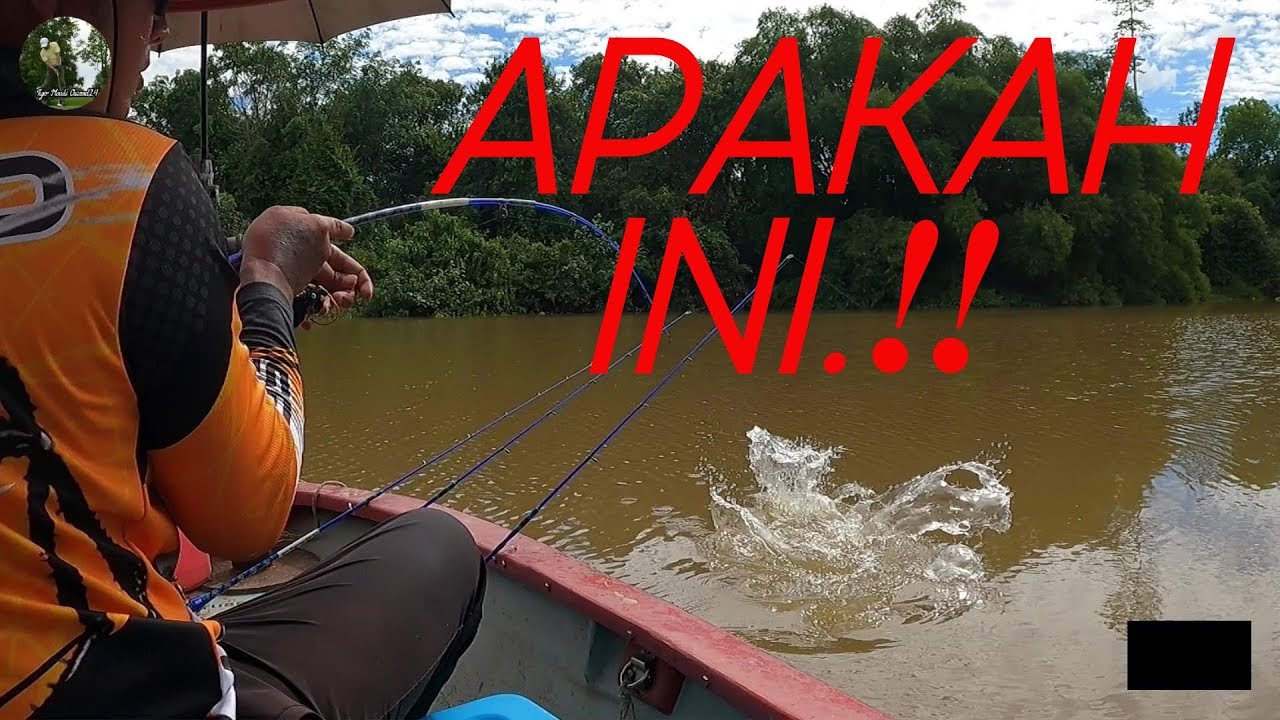 SERAM‼️PANIK APABILA 2 KALI DISERANG MAKHLUK ASING❓Siri#227 #angler #fishinglife #uglystik#jenggo