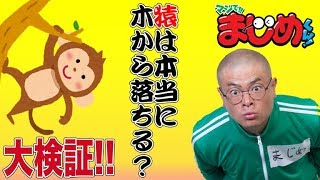 【あばれる君の実写版マジで!!まじめくん！】マジ語まじめにやってみた「猿も木から落ちる」