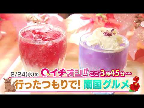 【公式】2月24日（水）イチオシ！！番組予告
