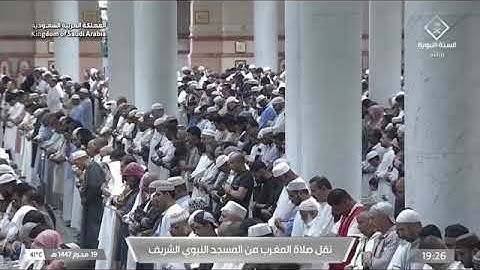 صلاة المغرب للشيخ عبدالله القرافي من المسجد النبوي 19 محرم 1447 من سورة النساء