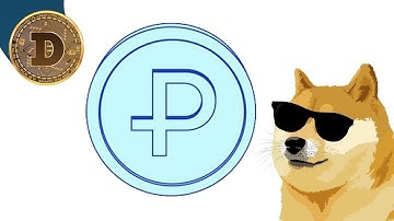 🐾 Plus More = One Of The Best RWA Launches To End The Year 🐾 CryptoDoge 🐶