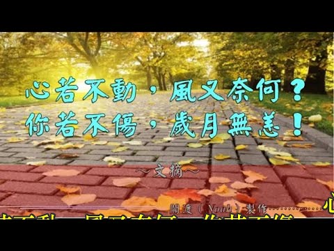 心若不動，風又奈何；你若不傷，歲月無恙