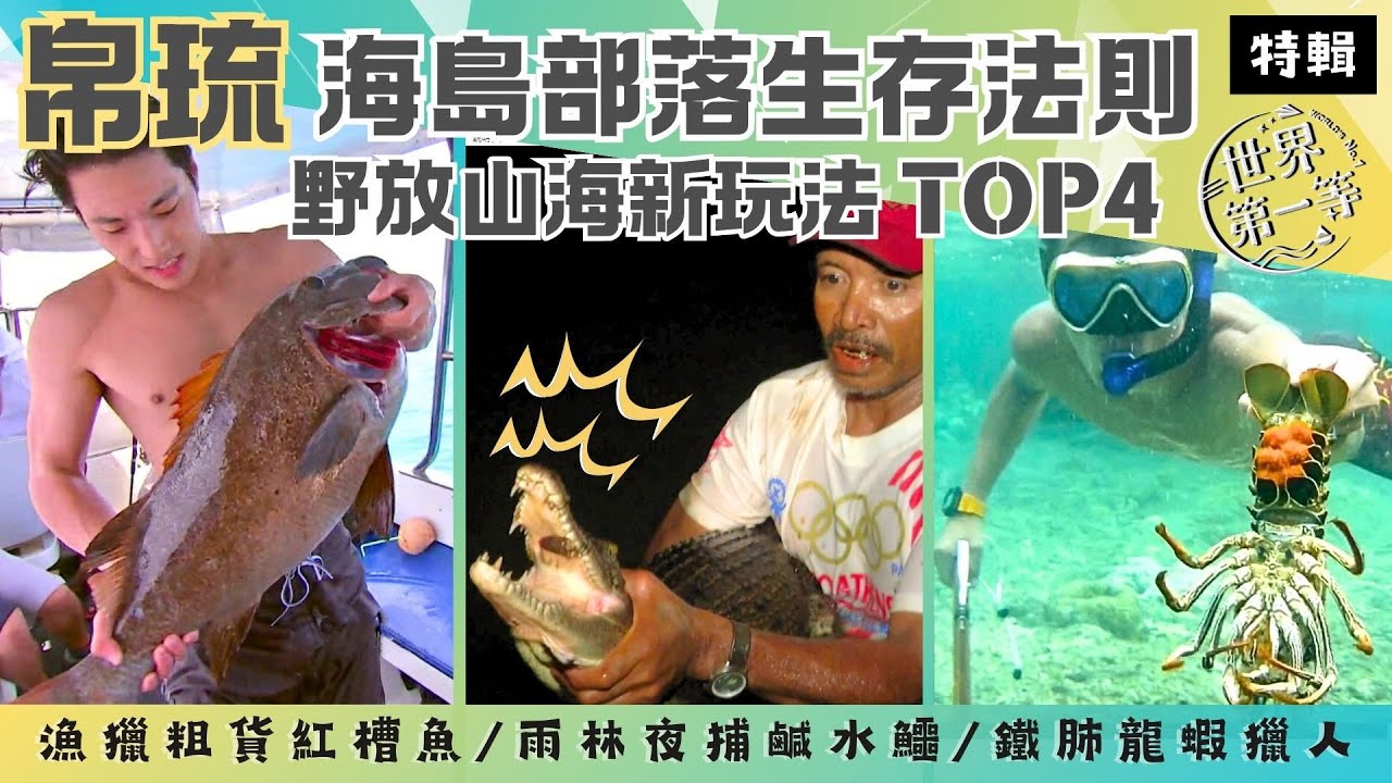 【帛琉 山海野趣】夜捕紅樹林鹹水鱷魚/鐵肺海獵人 魚槍打龍蝦/船釣粗貨紅槽魚生魚片/黃金椰子油《世界第一等》特輯 S70 唐振剛