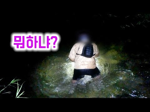 여름 방학 특집!! 미유기 사냥! 천렵편! Fishing for catfish with caddis fly larva