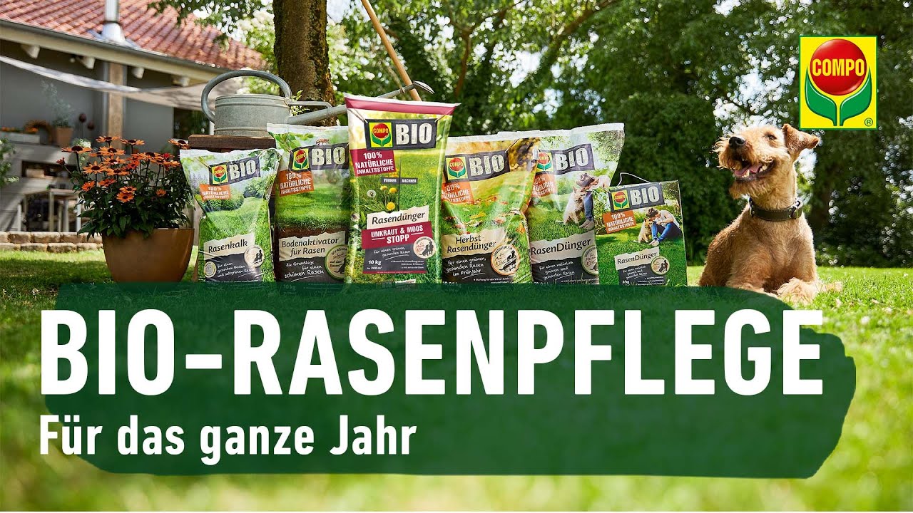 mehrjährige wildblumenwiese saatgut Wildblumenmischung ein- und mehrjährig kaufen? – Mulder Retail B.V main image 0