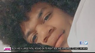 Anniversary of Aidan Ellison's Death