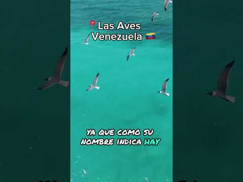 DESTINO PARADISÍACO PERO DESHABITADO: Archipiélago de Las Aves (Venezuela)