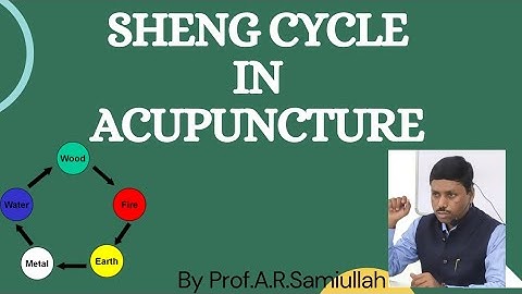 SHENG CYCLE IN ACUPUNCTURE
