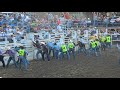 Wild Horse Race at 2017 Omak Stampede