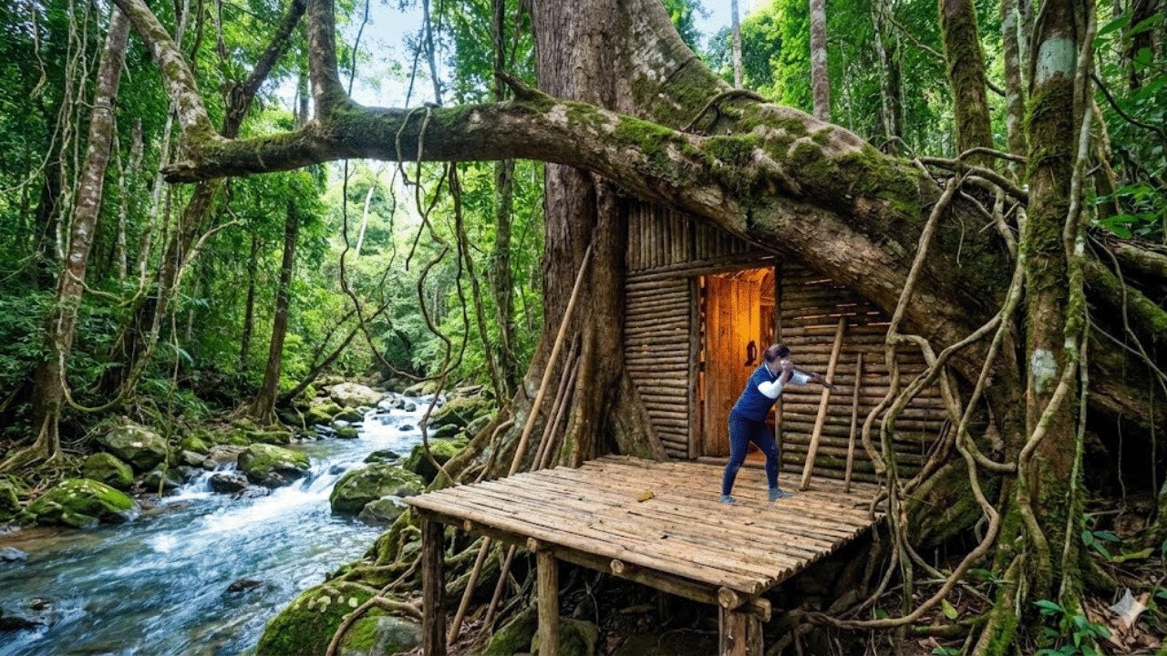 Young Girl Survives Alone 60 Days in the Forest, How to Build a Shelter