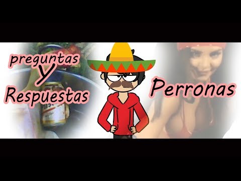 PREGUNTAS y RESPUESTAS al KIWI