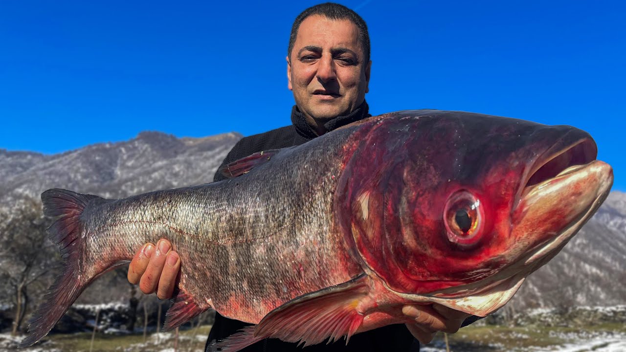 ⁣5 KG of Fish fried in a cauldron! Cooking in the Snowy Mountains of Azerbaijan