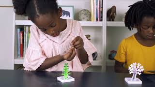 NATIONAL GEOGRAPHIC Crystal Forest Growing Kit