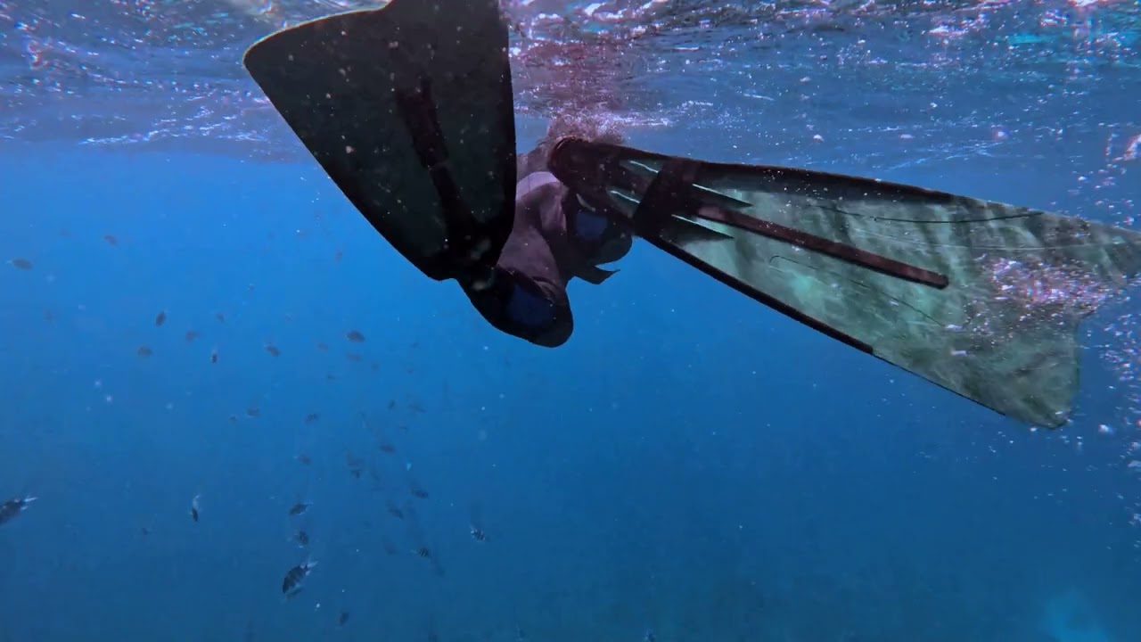 spirit of Red Sea - light of the seven.