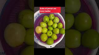 how tastier the fruits of jannah will be? screenshot 2