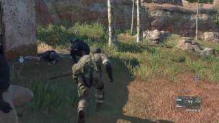 METAL GEAR SOLID 5 TPP-The Legendary Tsuchinoko Returns!