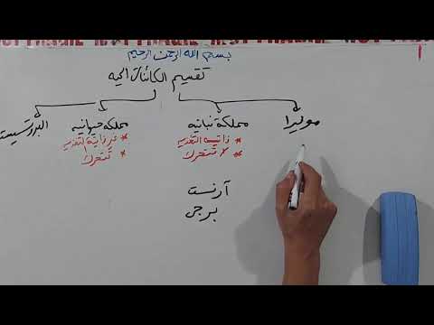 المحاضره الأولى تقسيم النباتPlant Systematic تانيه أساسى علوم وأولى علوم بيولوجى 