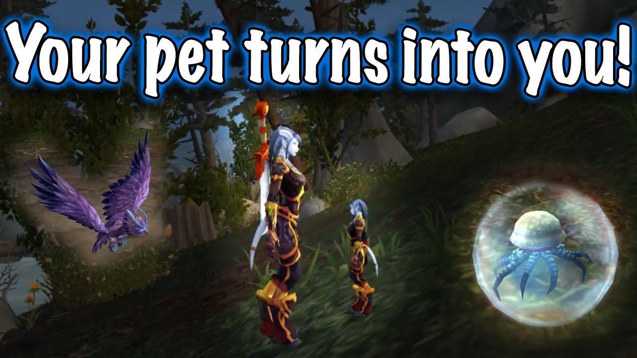 Jessiehealz New Dalaran Pet Charm Rewards (Legion Beta) YouTube