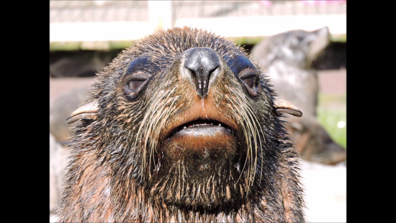 Ro zoo review's 2016 Zoo Tour - #22 Bristol Zoo