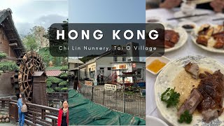 Hong Kong travel vlog 2 🇭🇰 Tai O Fishing Village, Chi Lin Nunnery, Shopping Mall hopping