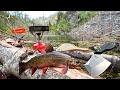 WILD Mountain Trout Fishing &amp; SOLO Backpacking!!! (Catch, Cook, Camp Movie)