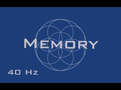 40 Hz Test Tone 10 Hours