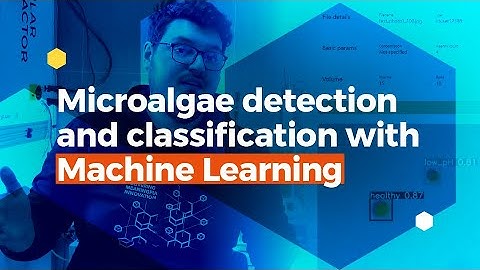 🟡 Microalgae detection and classification with Machine Learning | Digital Lab