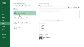 Excel 2013 Share a Workbook Saved to the Cloud