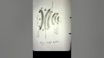 BBYEL-142 complete file