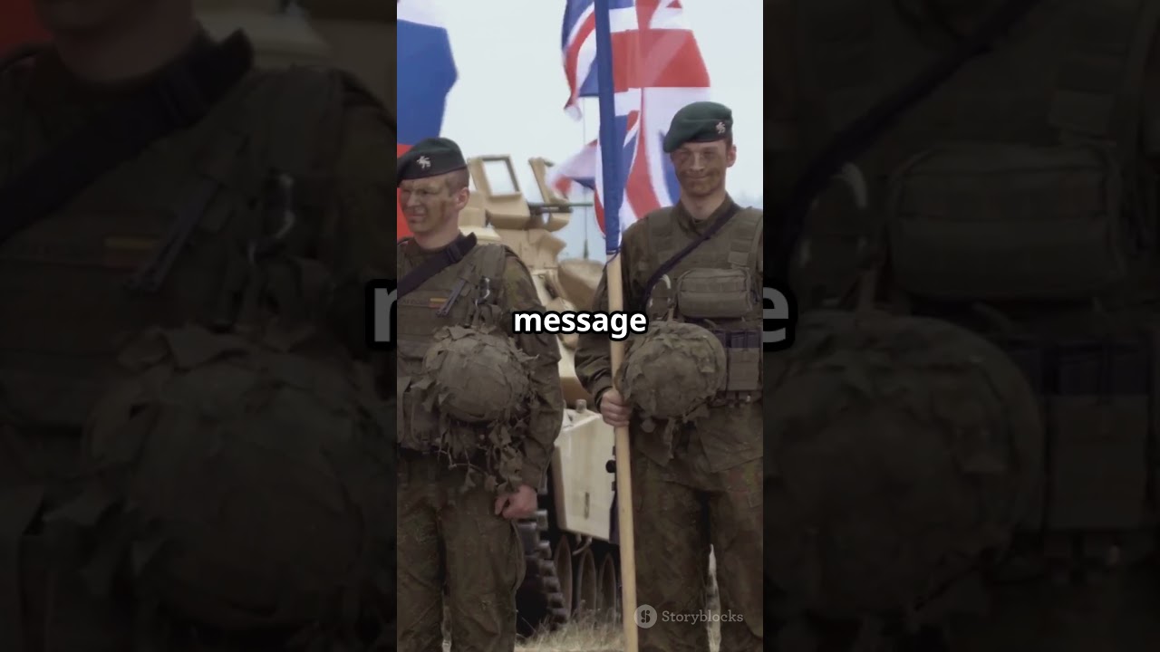 NATO at Risk: More Aid or More Defense? 