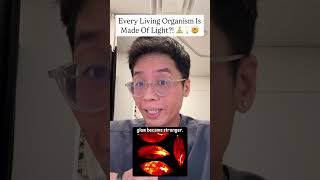 You're Made Light 💡👀🤯 #science #biofield #biophoton