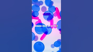 The Hidden World Within: Exploring the Human Microbiome #facts